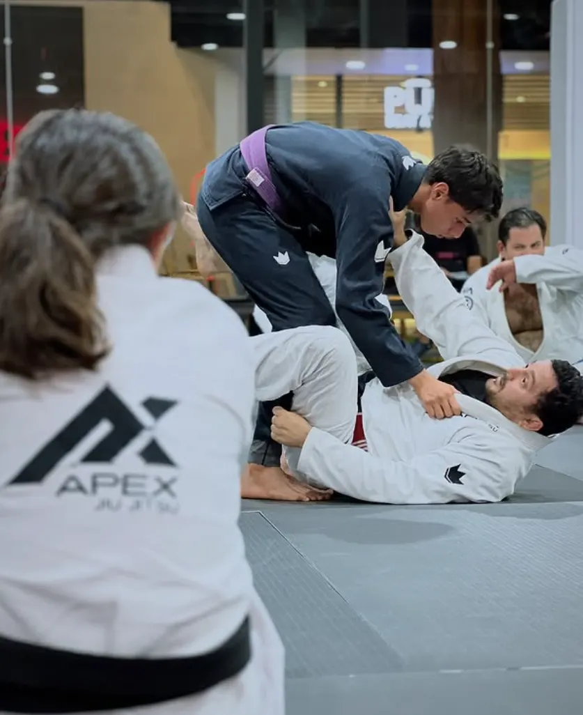 Alumnos entrenando jiu-jitsu en el tatami de APEX